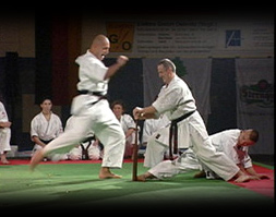 Karate Show FN