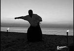 Samurai Videos: back/zurück...